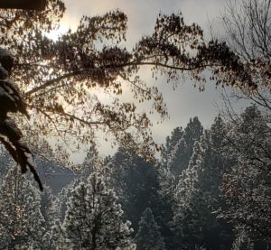 Moose Can Gulley winter 1